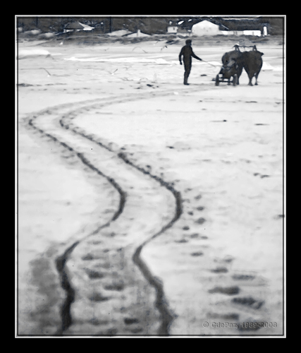 Ayuntamiento de Laxe imagen de fachada