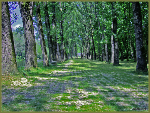 : Paseo Junto Al Rio