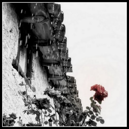 .......piensa En Un TÃtulo Y Puede Que Aciertes