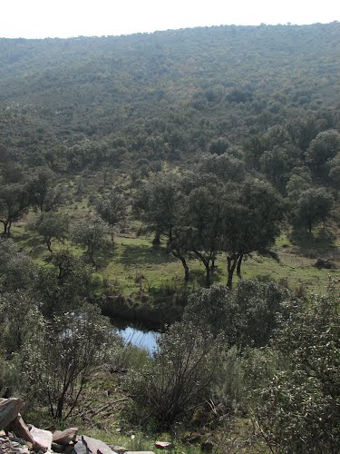Ayuntamiento de Los Navalucillos imagen de fachada