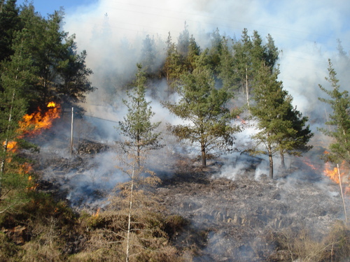 Ayuntamiento de Los Tojos imagen de fachada