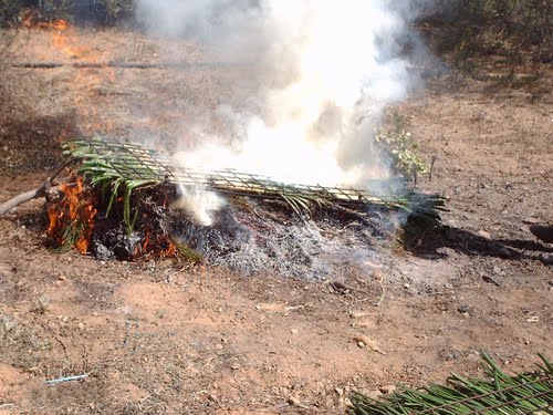 Ayuntamiento de Maspujols imagen de fachada
