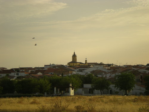 Ayuntamiento de Medina De Las Torres imagen de fachada