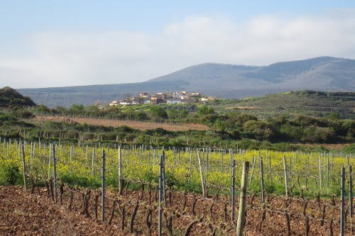 La Rioja (1)