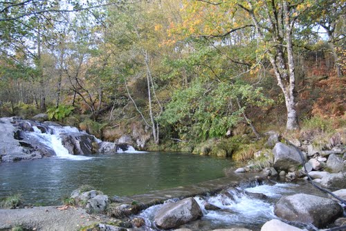 POZAS Do RÃo Cerves--Melón (Ourense)