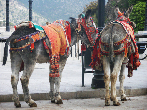 Burro-taxis.MIJAS