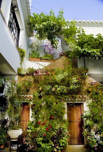Patio Interior Andaluz De Mijas Pueblo