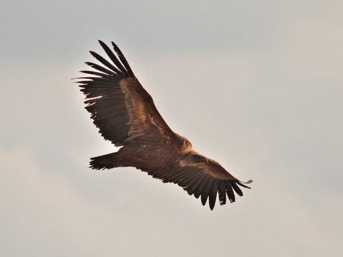 Ayuntamiento de Milagros imagen de fachada