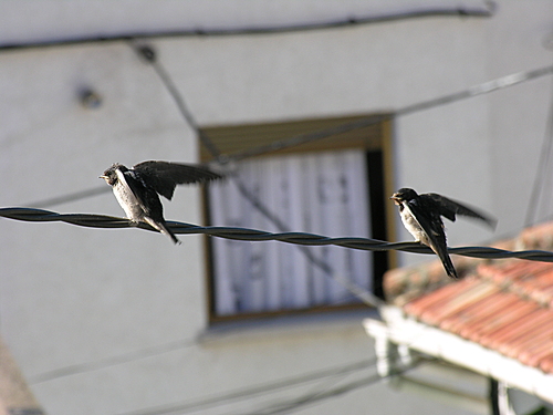 Aviones En Miraflores
