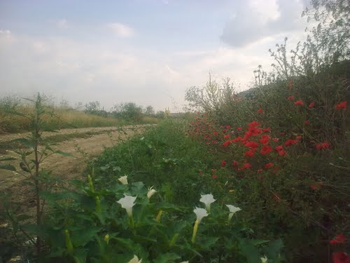 Ayuntamiento de Miranda De Azan imagen de fachada