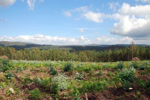 Ayuntamiento de Monfero imagen de fachada