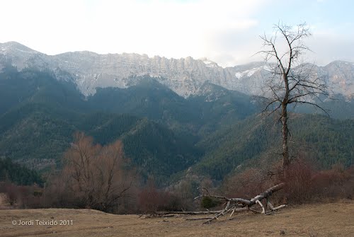 Ayuntamiento de Montella I Martinet imagen de fachada
