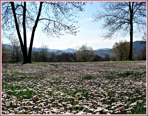 Ayuntamiento de Montesquiu imagen de fachada