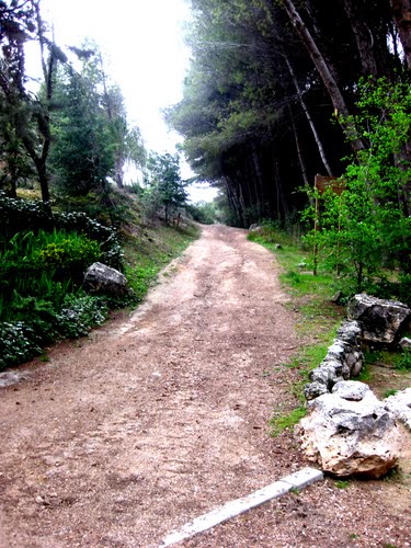 Parque Juan De Avalos