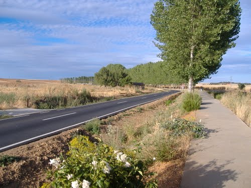 Paseo Desde Moreruela