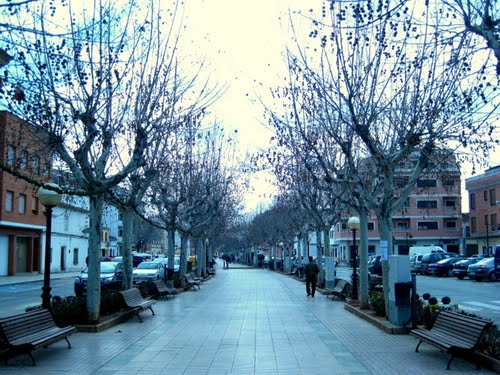 Motilla Del Palancar. Cuenca. Enero De 2012