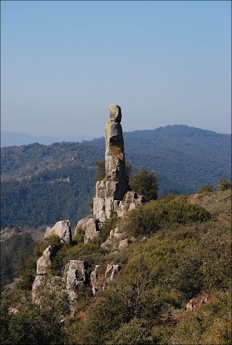 Roca (Sorlada, 29-2-2012)