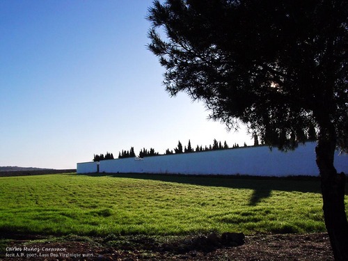 Ayuntamiento de Munera imagen de fachada