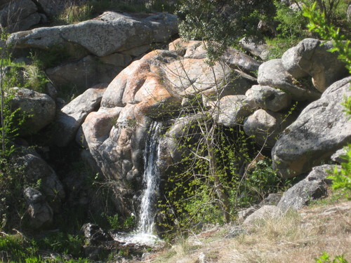 Ayuntamiento de Munogalindo imagen de fachada