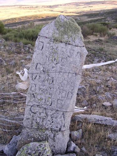 GorrÃa-Narrillos WP15