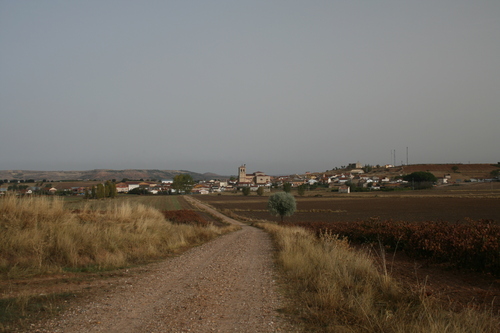 Nava De Roa Desde Sus Campos
