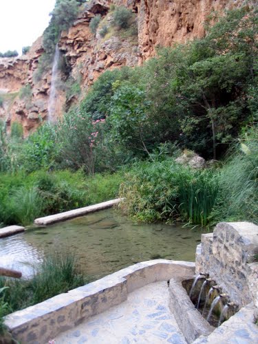Aguas AquÃ, Aguas AllÃ, Novias Sin Velo...