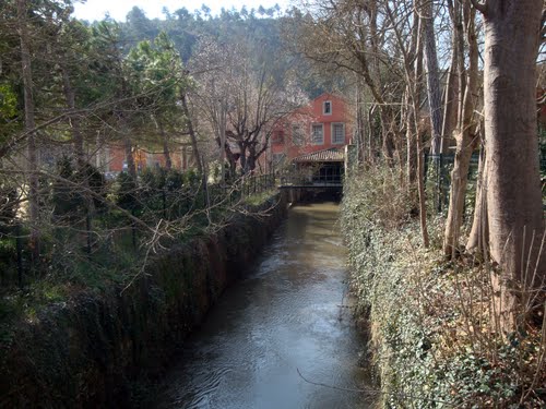 Acequia Del Monasterio De S. Benet