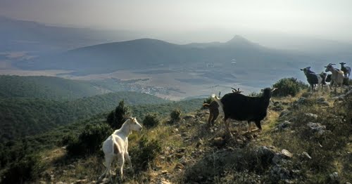 Al N Raso De San MatÃn Y Al E Asarta Y Mendaza. ¡Beeeerrr!
