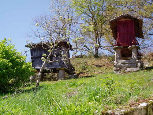Canastros En MundÃ­n