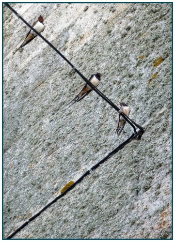 El Triángulo De Las Tres Golondrinas. The Triangle Of The Three Swallows