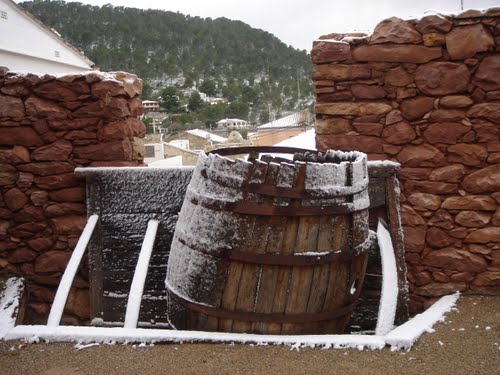  [ N_lorito ]  Casa De La Senyoria. Olocau