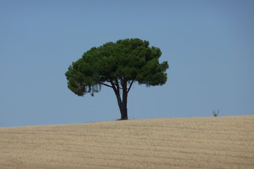 Ayuntamiento de Osornillo imagen de fachada