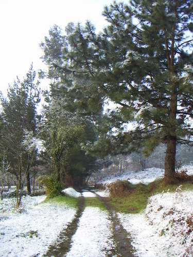 Ayuntamiento de Oza Dos Rios imagen de fachada