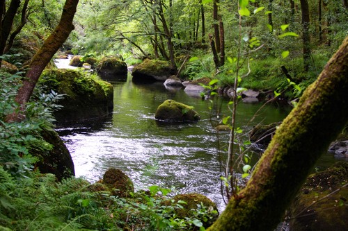 Ayuntamiento de Paderne imagen de fachada