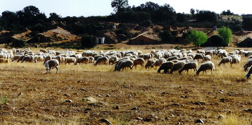 Bodegas Al Lado De La Carretera