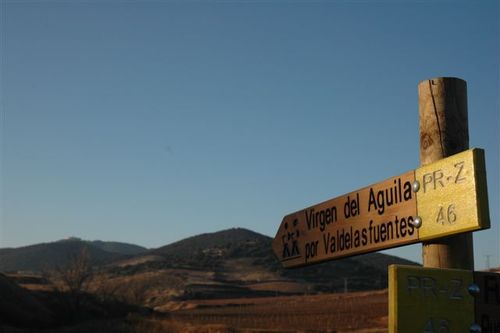 Ayuntamiento de Paniza imagen de fachada