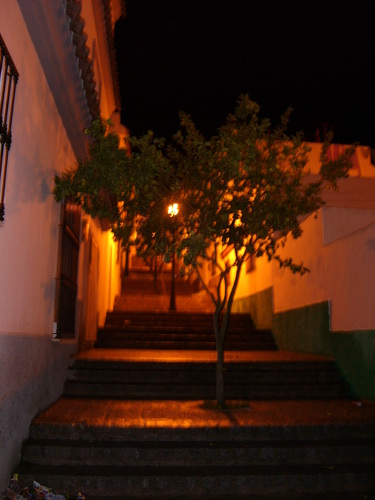 Ayuntamiento de Paterna De Rivera imagen de fachada