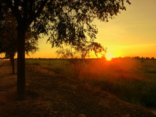 Ayuntamiento de Pedro Munoz imagen de fachada
