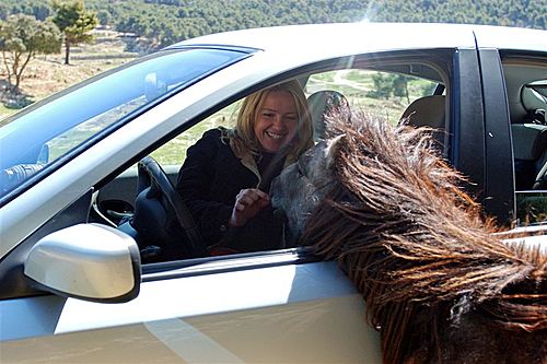 Ayuntamiento de Penaguila imagen de fachada
