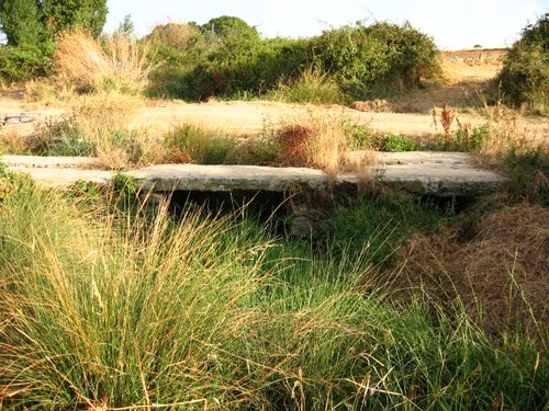 Ayuntamiento de Pereruela imagen de fachada