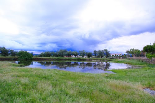 Ayuntamiento de Pescueza imagen de fachada
