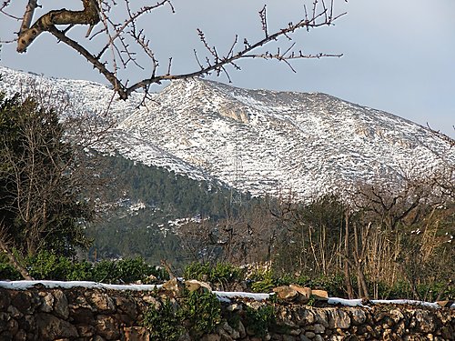 Ayuntamiento de Picamoixons imagen de fachada