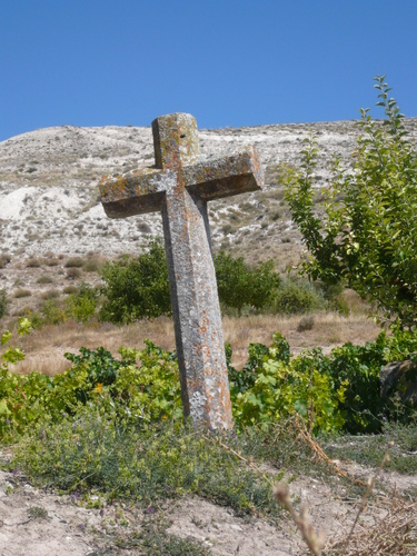 Cruz Del Campo