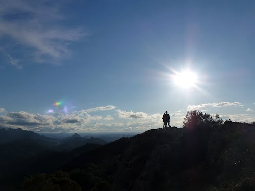 Reflexes A PÃ ndols