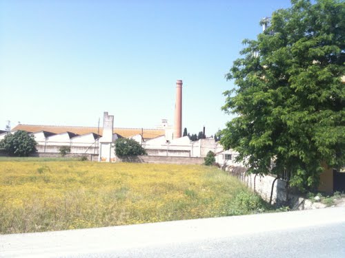 Fabrica Y Silo En Pinos Puente