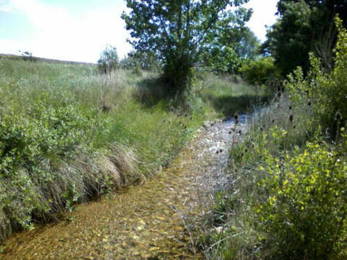 Ayuntamiento de Plenas imagen de fachada