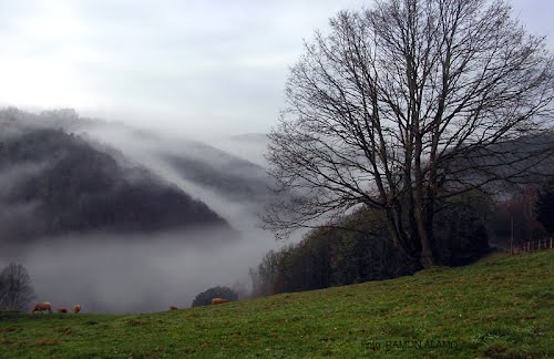 Ayuntamiento de Ponga imagen de fachada