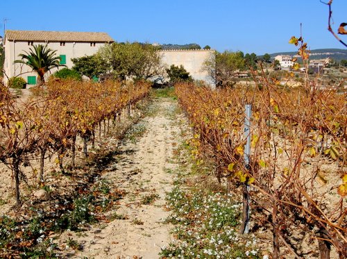 Ayuntamiento de Pontons imagen de fachada