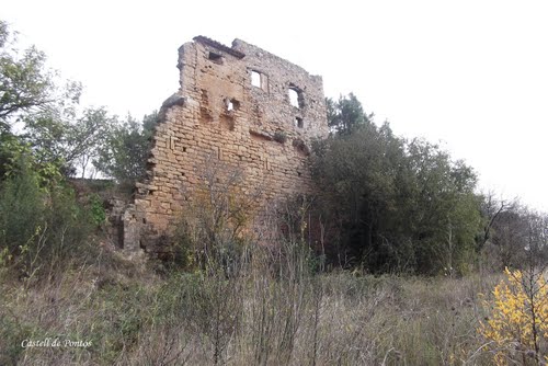 Castell De Pontós