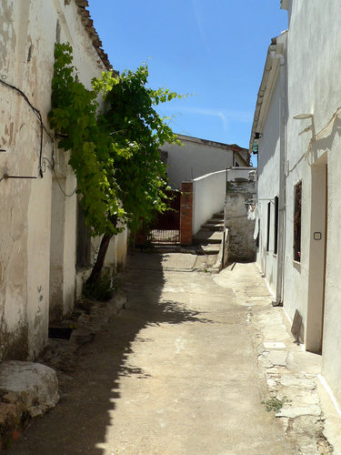 Pezuela De Las Torres. Callejón De La Calle Hortaleza